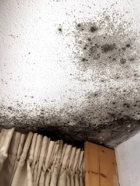 Vochtproblemen in huis leiden tot een ongezond binnenklimaat